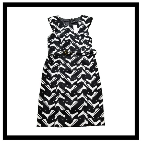 Premise Black and White Dress knee length Size 8 - Picture 4 of 6